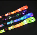 LED-Up Leash Verlichte Hondenriem USB Oplaadbaar Veilig Zichtbaar Duurzaam PVC Ergonomisch Handvat - Ruffy