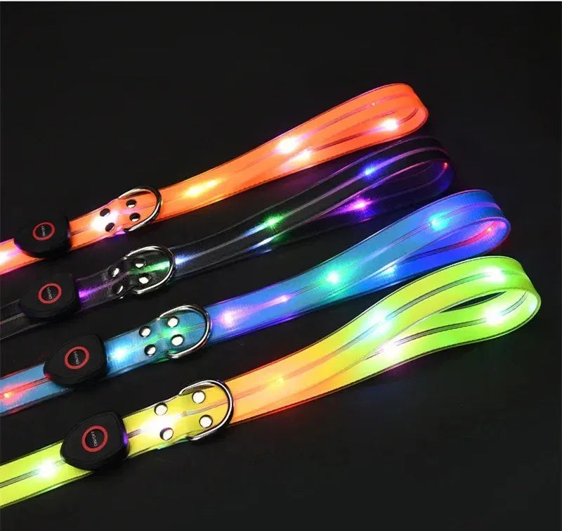 LED-Up Leash Verlichte Hondenriem USB Oplaadbaar Veilig Zichtbaar Duurzaam PVC Ergonomisch Handvat - Ruffy