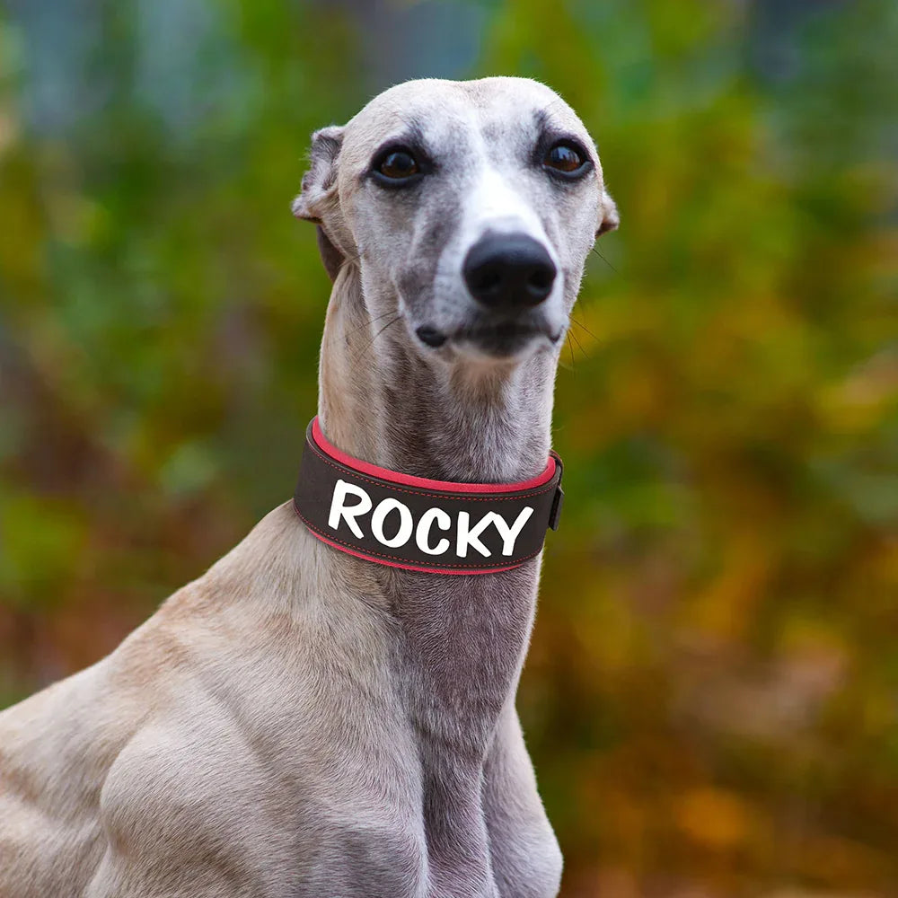Brede Gepersonaliseerde Hondenhalsband - Ruffy