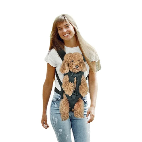 Ademende polyester hondendraagtas met verstelbare bandjes en veilige basis in bankstijl voor kleine honden - Ruffy