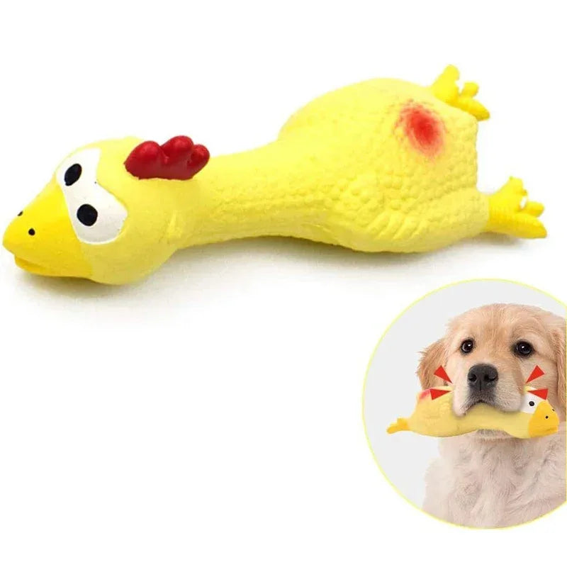 Veilig piepend hondenspeelgoed Rubber Kip 100% Natuurlijke Latex 16.8cm voor kleine rassen - Ruffy