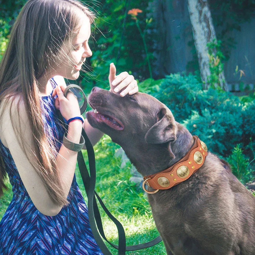 Leren Hondenhalsband Met Puntige Studs Modieus Duurzaam Verstelbaar Veilig Voor Middelgrote Tot Grote Honden - Ruffy