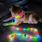 LED-Up Leash Verlichte Hondenriem USB Oplaadbaar Veilig Zichtbaar Duurzaam PVC Ergonomisch Handvat - Ruffy