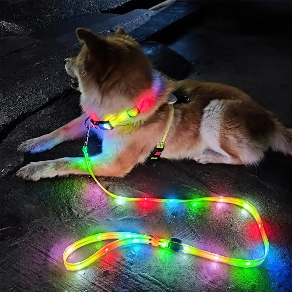 LED-Up Leash Verlichte Hondenriem USB Oplaadbaar Veilig Zichtbaar Duurzaam PVC Ergonomisch Handvat - Ruffy