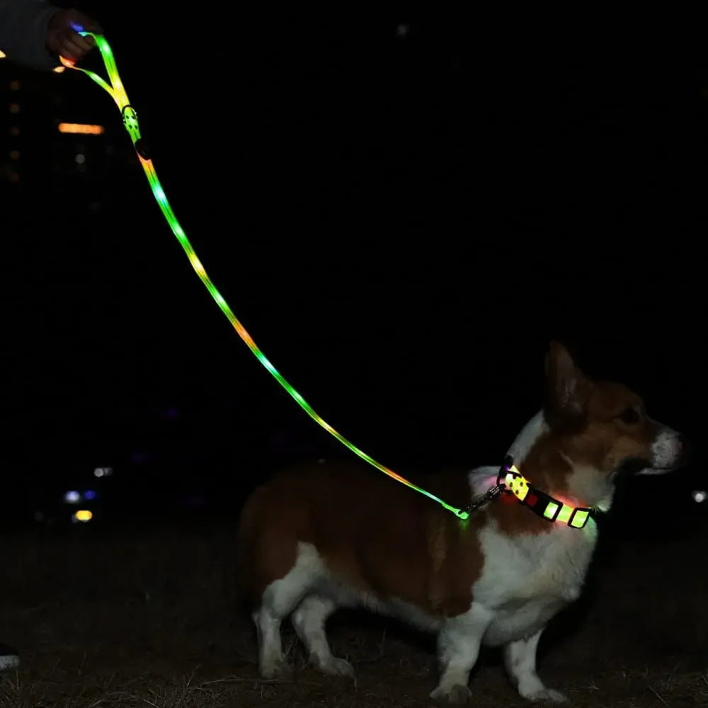 LED-Up Leash Verlichte Hondenriem USB Oplaadbaar Veilig Zichtbaar Duurzaam PVC Ergonomisch Handvat - Ruffy