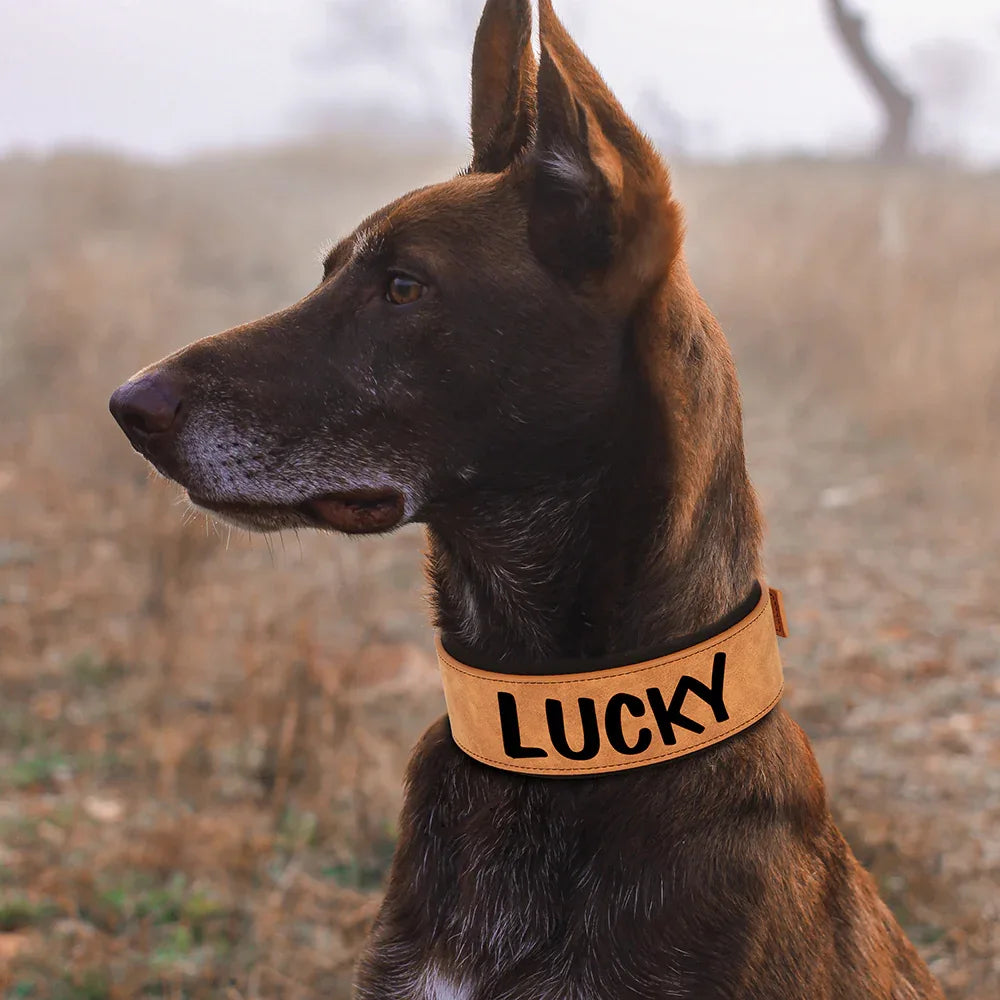 Brede Gepersonaliseerde Hondenhalsband - Ruffy