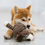 Hond Speelgoed Sterk En Stressverlichtend - Ruffy