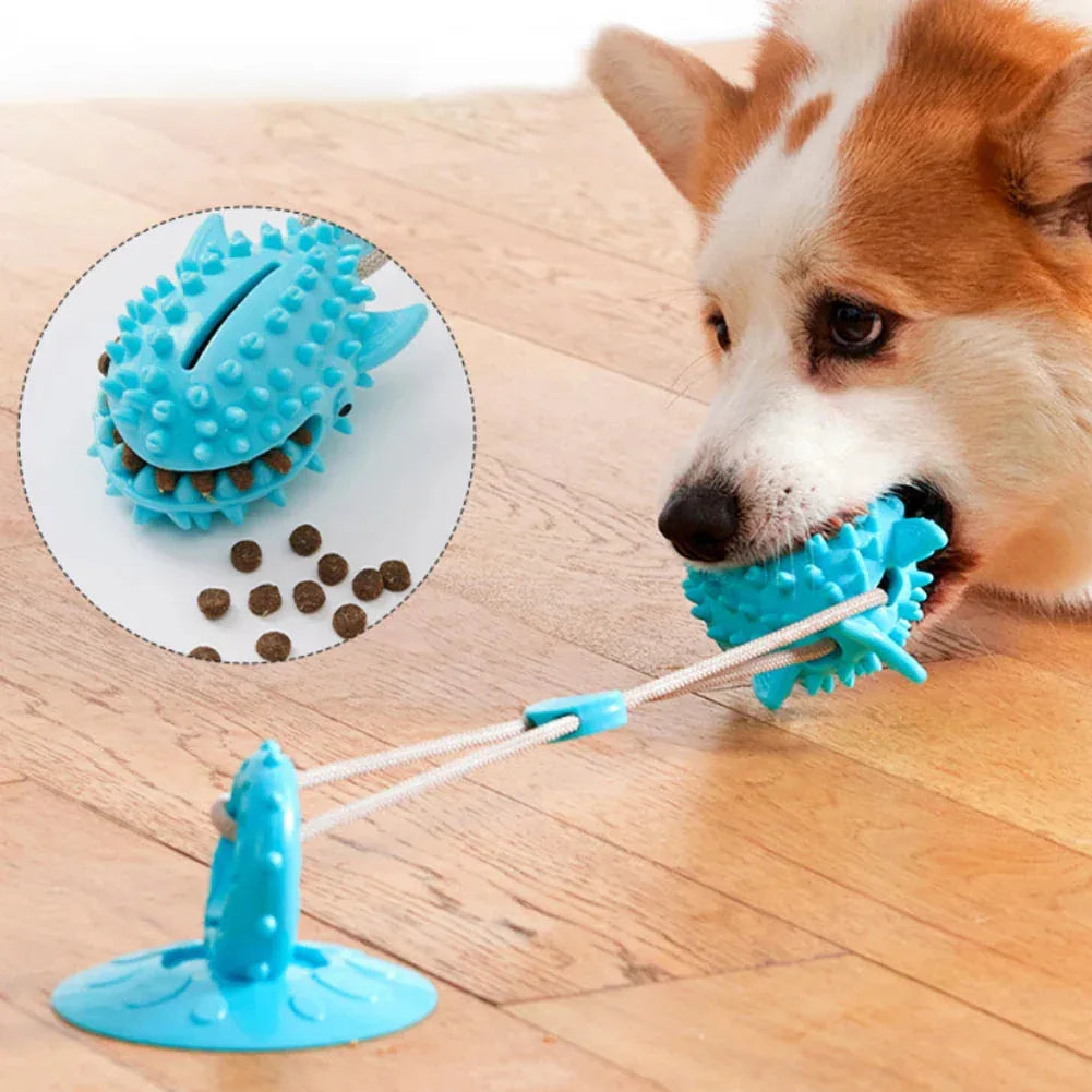 Hond Zuignap Traktatiespeeltje - Ruffy