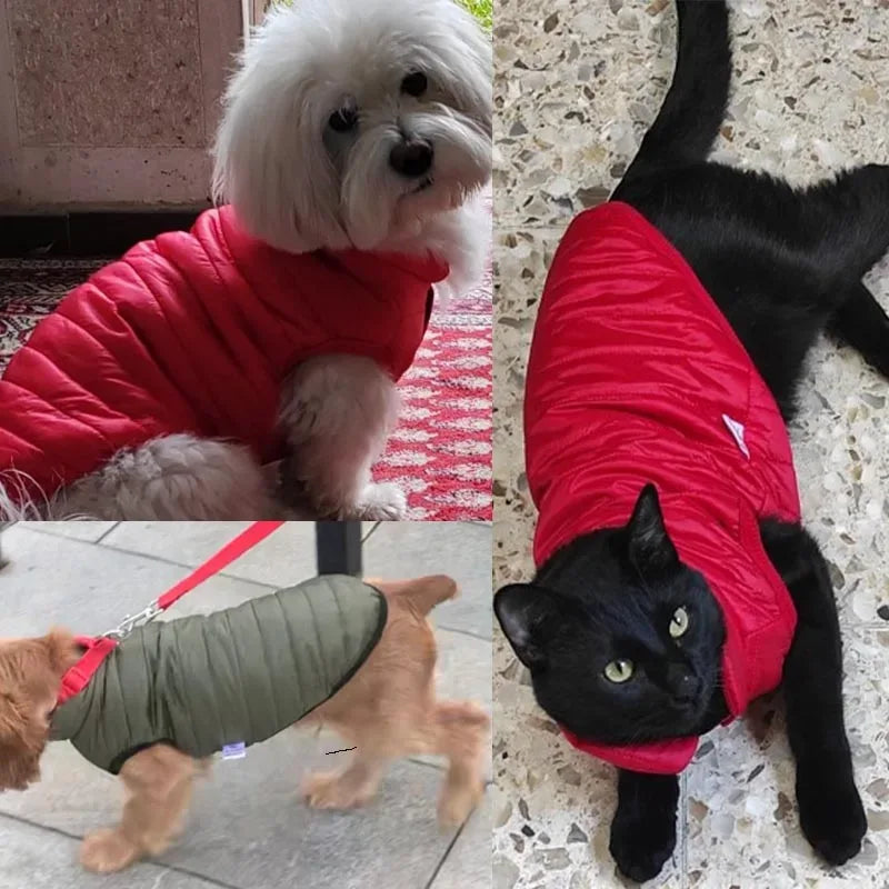 Warm Polyester Hondenvest Lichtgewicht Herfst Winter Kleding in XS-2XL Meerdere Kleuren - Ruffy