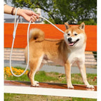 Reflecterende No-Pull Hondenriem Duurzaam Verstelbaar Veiligheid Trainingsriem Voor Middelgrote en Grote Honden Nylon - Ruffy