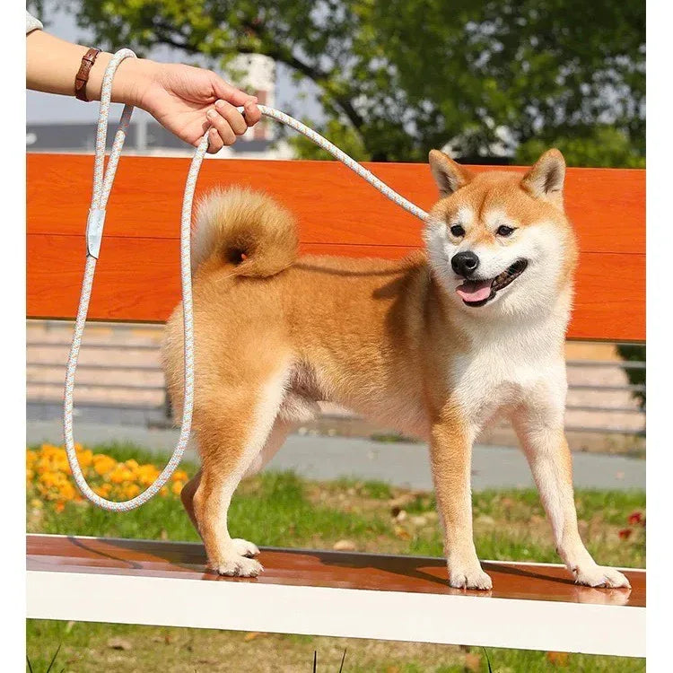 Reflecterende No-Pull Hondenriem Duurzaam Verstelbaar Veiligheid Trainingsriem Voor Middelgrote en Grote Honden Nylon - Ruffy