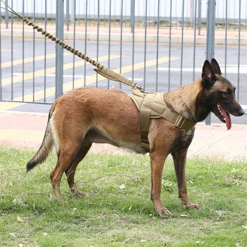 Tactisch hondenharnas met verstelbare riemen en snelsluiting Duurzaam nylon voor alle seizoenen - Ruffy