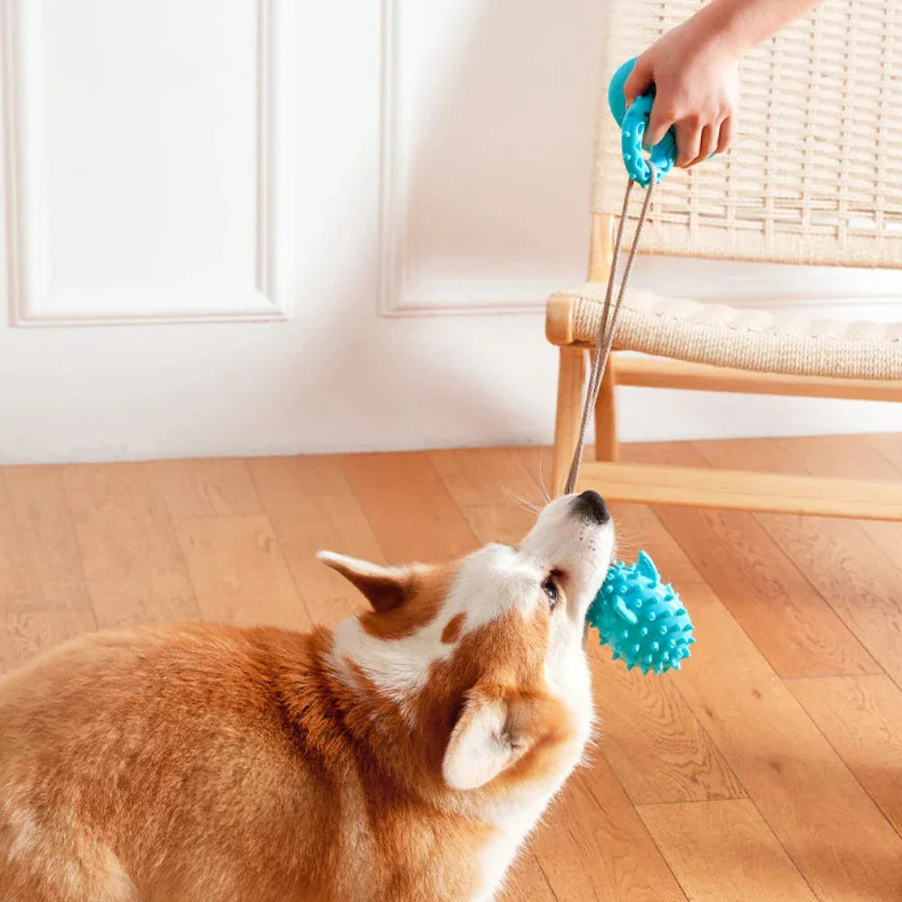 Hond Zuignap Traktatiespeeltje - Ruffy