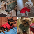 Warm Polyester Hondenvest Lichtgewicht Herfst Winter Kleding in XS-2XL Meerdere Kleuren - Ruffy