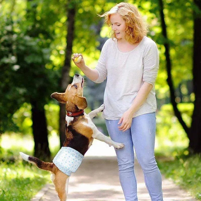 Superabsorberende wegwerpluiers voor honden met lekvrije barrières - Ruffy