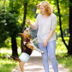 Superabsorberende wegwerpluiers voor honden met lekvrije barrières - Ruffy