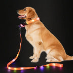 LED-Up Leash Verlichte Hondenriem USB Oplaadbaar Veilig Zichtbaar Duurzaam PVC Ergonomisch Handvat - Ruffy