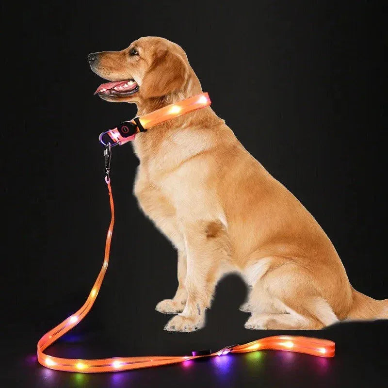 LED-Up Leash Verlichte Hondenriem USB Oplaadbaar Veilig Zichtbaar Duurzaam PVC Ergonomisch Handvat - Ruffy