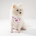 Verstelbare Bandana voor Honden Stijlvol Duurzaam Comfortabel Gemakkelijk Schoon te Maken Beschikbaar in S M L - Ruffy