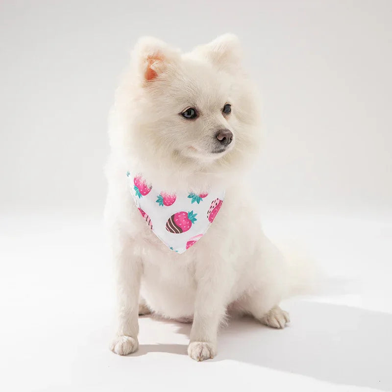 Verstelbare Bandana voor Honden Stijlvol Duurzaam Comfortabel Gemakkelijk Schoon te Maken Beschikbaar in S M L - Ruffy