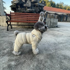 Kleine en Medium Hondenjas Winter Dons Machinewasbaar, Waterdicht - Ruffy