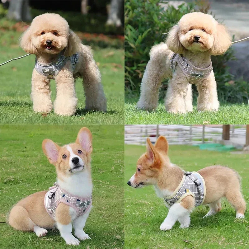 Reflecterend Nylon Harnas met Verstelbare Riemen voor Kleine Honden en Katten Comfortabele en Veilige Pasvorm - Ruffy