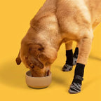 Anti-slip hondensokken met riemen tractiecontrole - Ruffy