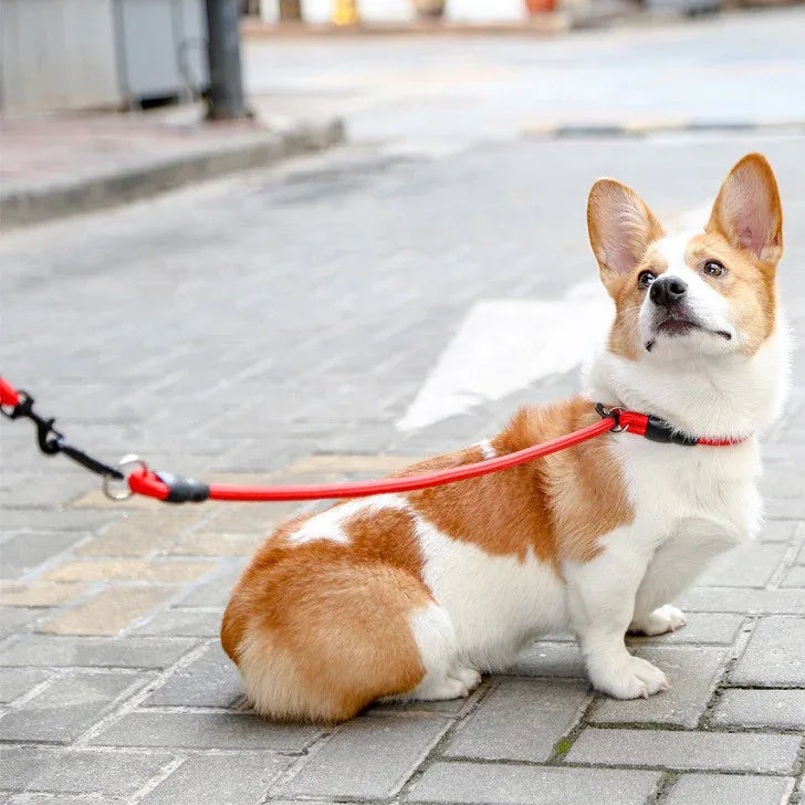Nylon Treksluit Halsbanden Riem Voor Honden training Sliplead - Ruffy