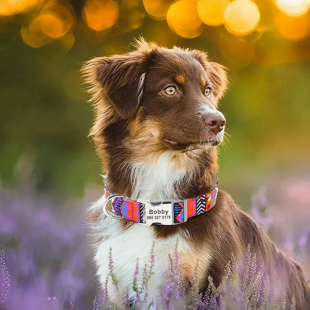 Gegraveerde Hondenhalsband Op Maat - Ruffy