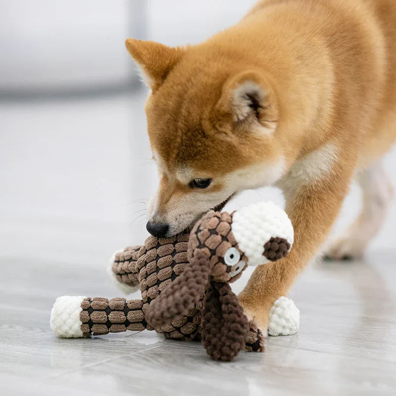 Hond Speelgoed Sterk En Stressverlichtend - Ruffy