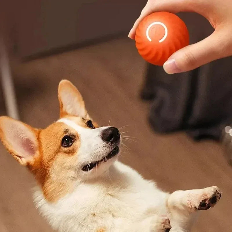 Automatisch rollende bal – Het ultieme interactieve speelgoed voor je pup - Ruffy