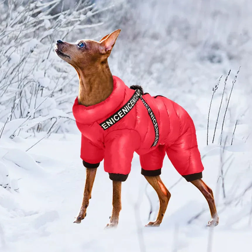 Winter Warme Huisdierenjas - Ruffy