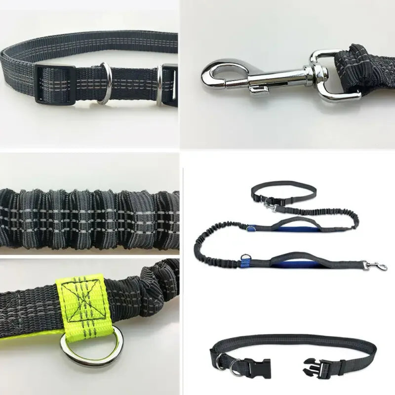 Handsfree reflecterende hondenriem met schokabsorberend elastiek voor joggen - Ruffy