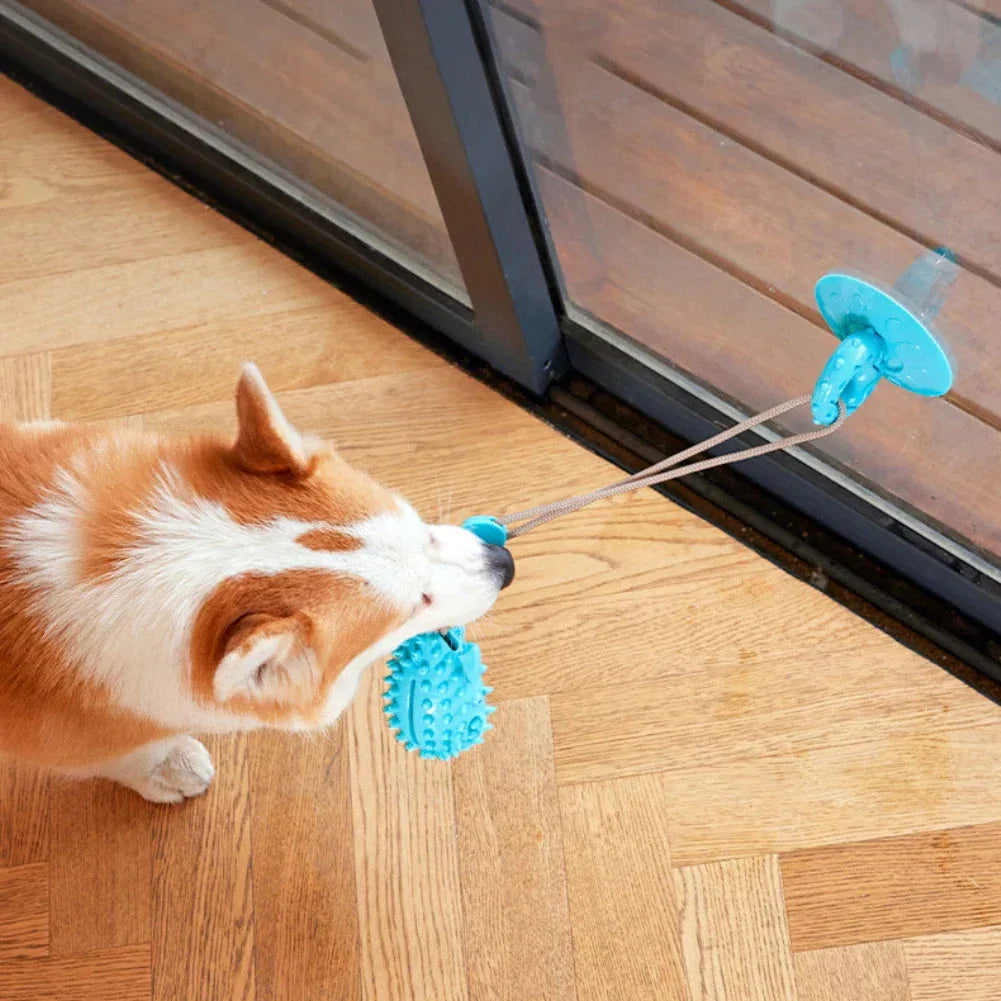 Hond Zuignap Traktatiespeeltje - Ruffy