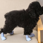 Duurzame Regenlaarzen voor Honden met Antislipzool en Verstelbare Riemen Waterdichte Voetbescherming in Meerdere Kleuren - Ruffy