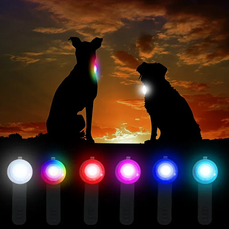 Ultra-Bright LED Pet Collar Light Waterdicht met lange levensduur van de batterij voor nachtelijke wandelingen - Ruffy