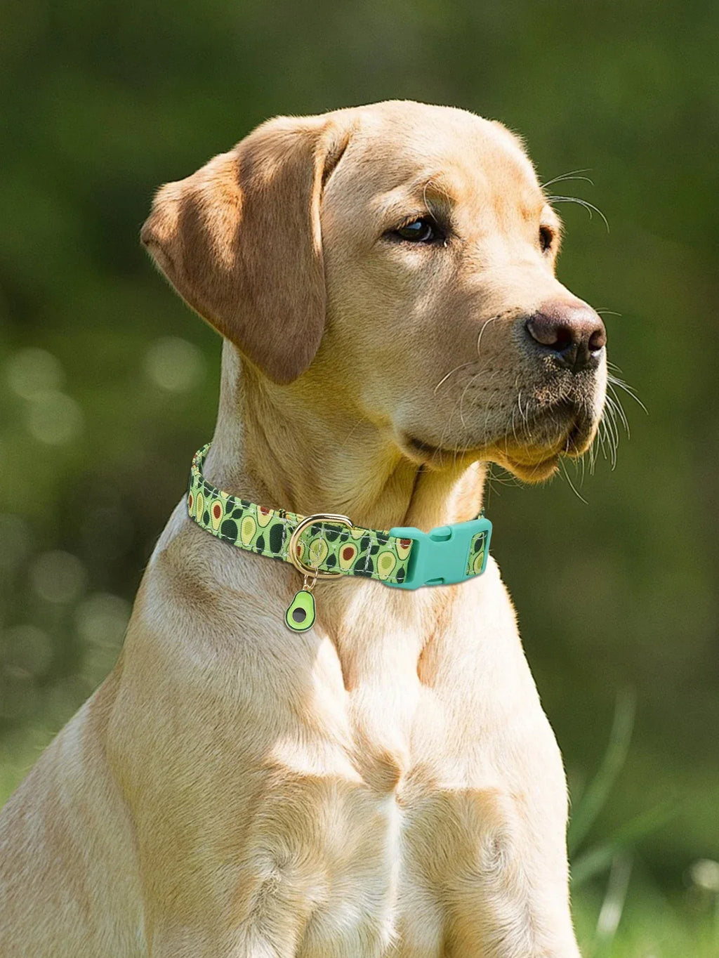 Duurzame halsband met fruitpatroon en metalen bedeltje Comfortabel polyester voor alle seizoenen - Ruffy