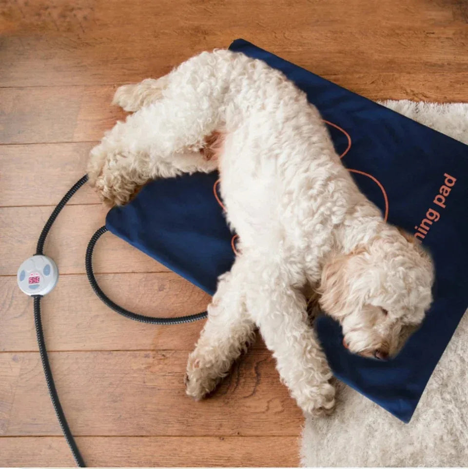 Elektrische Verwarmingsdeken voor Honden Veilig Zacht Duurzaam Geschikt voor Bedden en Kratten 60x45cm - Ruffy