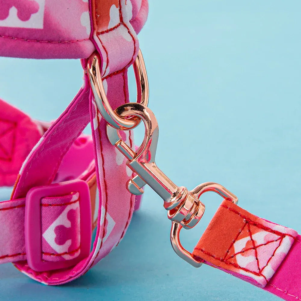 Verstelbaar Hondenharnas Ademend Duurzaam No-Pull Polyestermix Veilig Comfortabel Voor Honden en Katten - Ruffy
