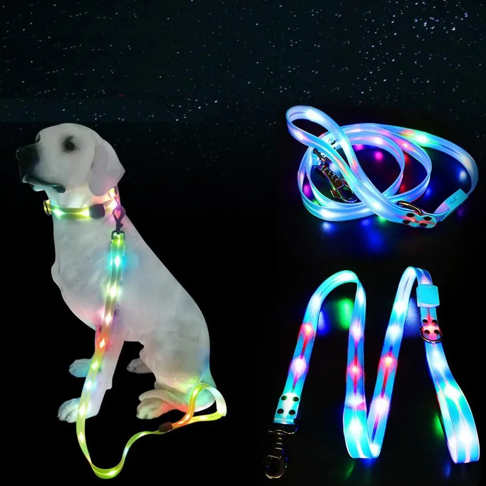 LED-Up Leash Verlichte Hondenriem USB Oplaadbaar Veilig Zichtbaar Duurzaam PVC Ergonomisch Handvat - Ruffy