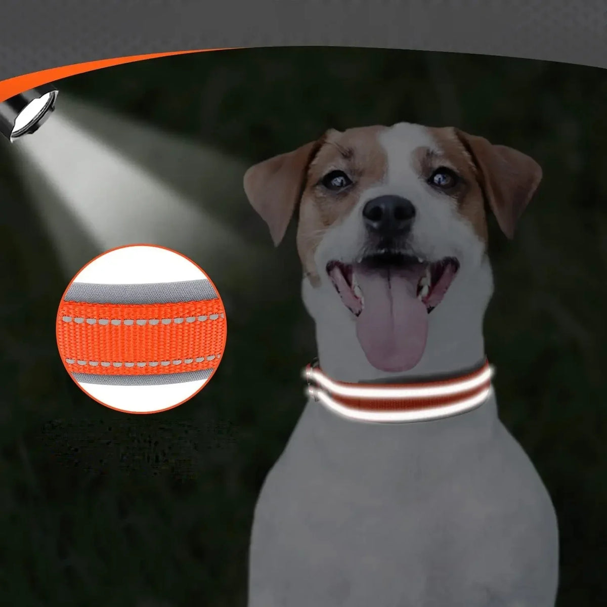 Neopreen Gevoerde Hondenhalsband extra Sterk En Reflecterend - Ruffy