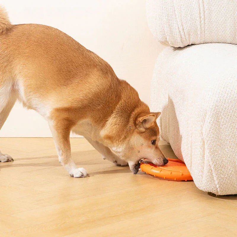 Interactieve Rubber Honden Frisbee - Ruffy