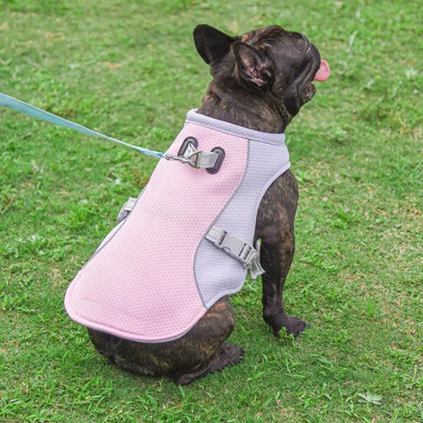 Koelvest voor Honden Met UV-Bescherming Lichtgewicht en Verstelbare Pasvorm - Ruffy