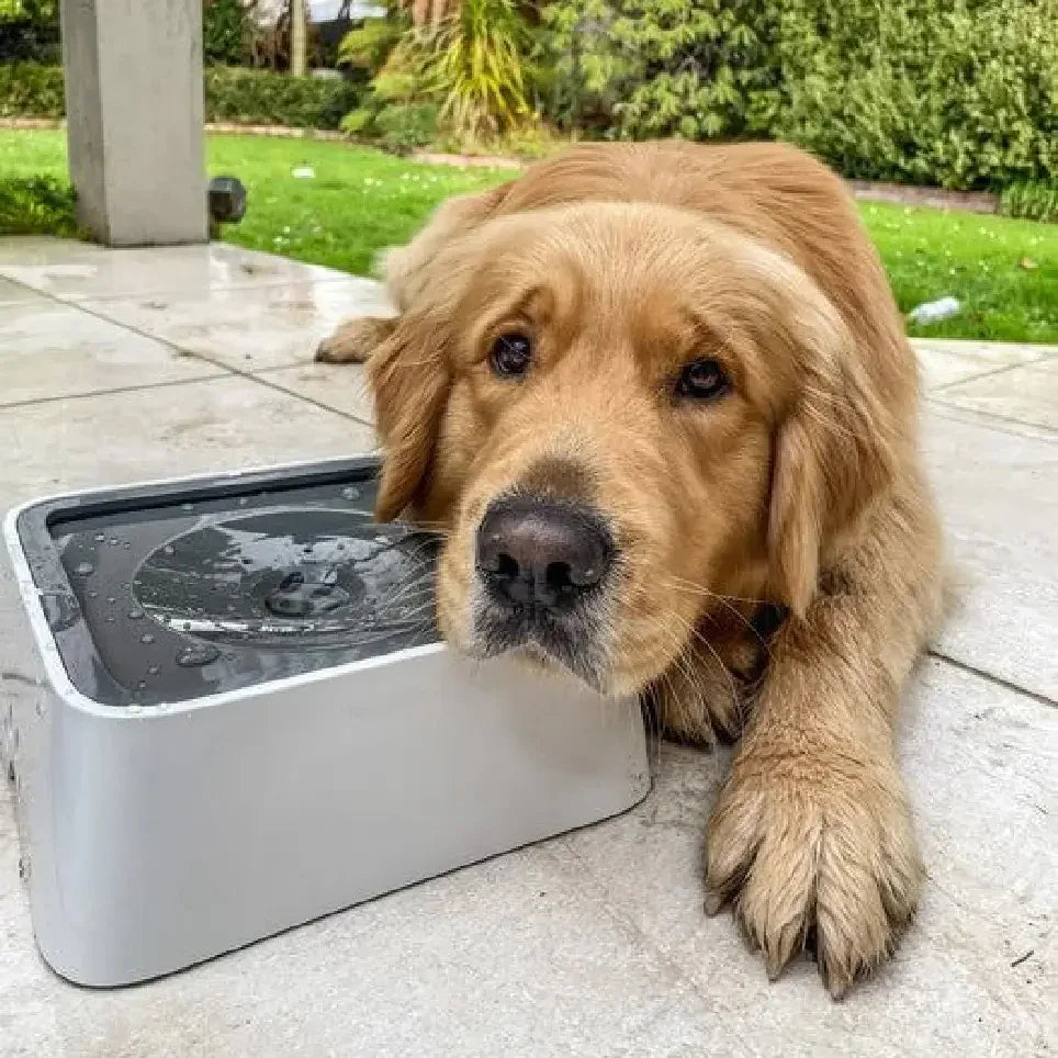 Zero Splash Honden Drinkbak - Ruffy