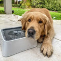Zero Splash Honden Drinkbak - Ruffy