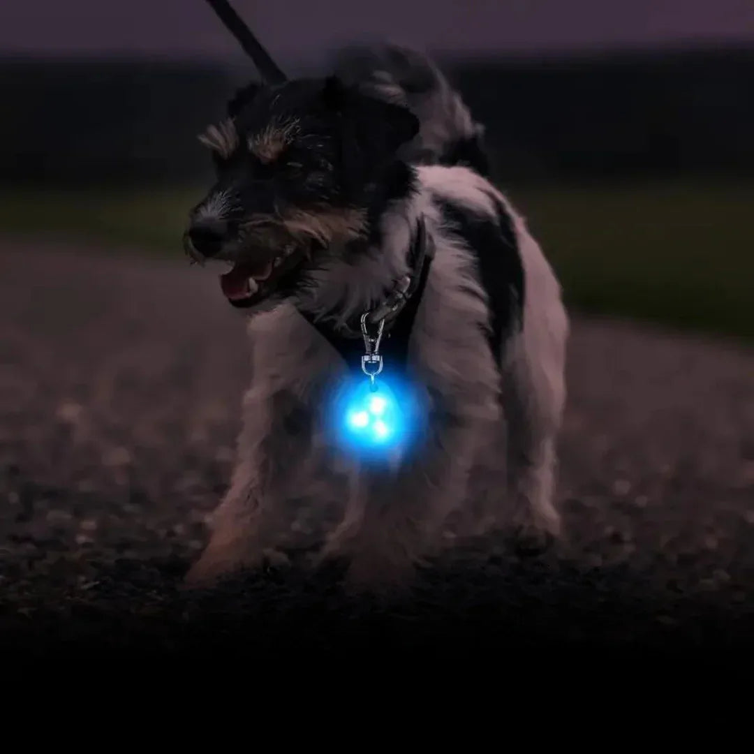 Halsband Voor Honden Met Nachtveiligheids-LED Lampje - Ruffy