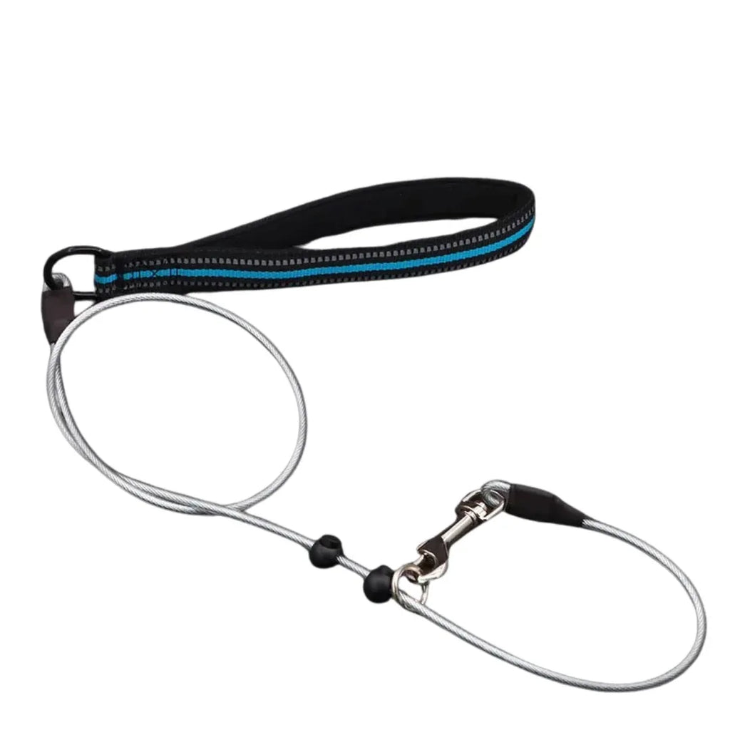 Sterke Staaldraad Hondentraining P-ketting Leiband - Ruffy