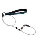 Sterke Staaldraad Hondentraining P-ketting Leiband - Ruffy