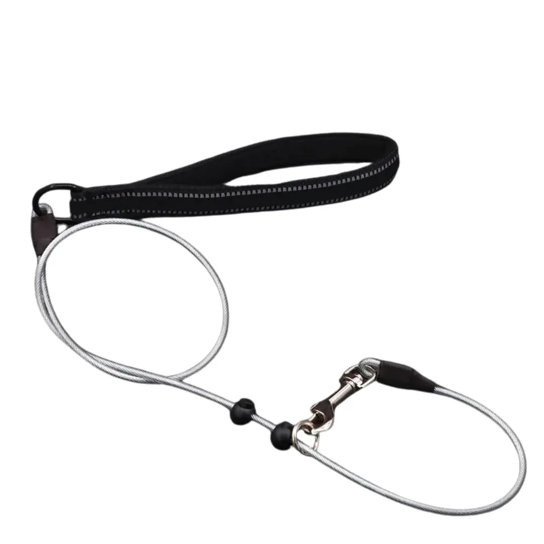 Sterke Staaldraad Hondentraining P-ketting Leiband - Ruffy