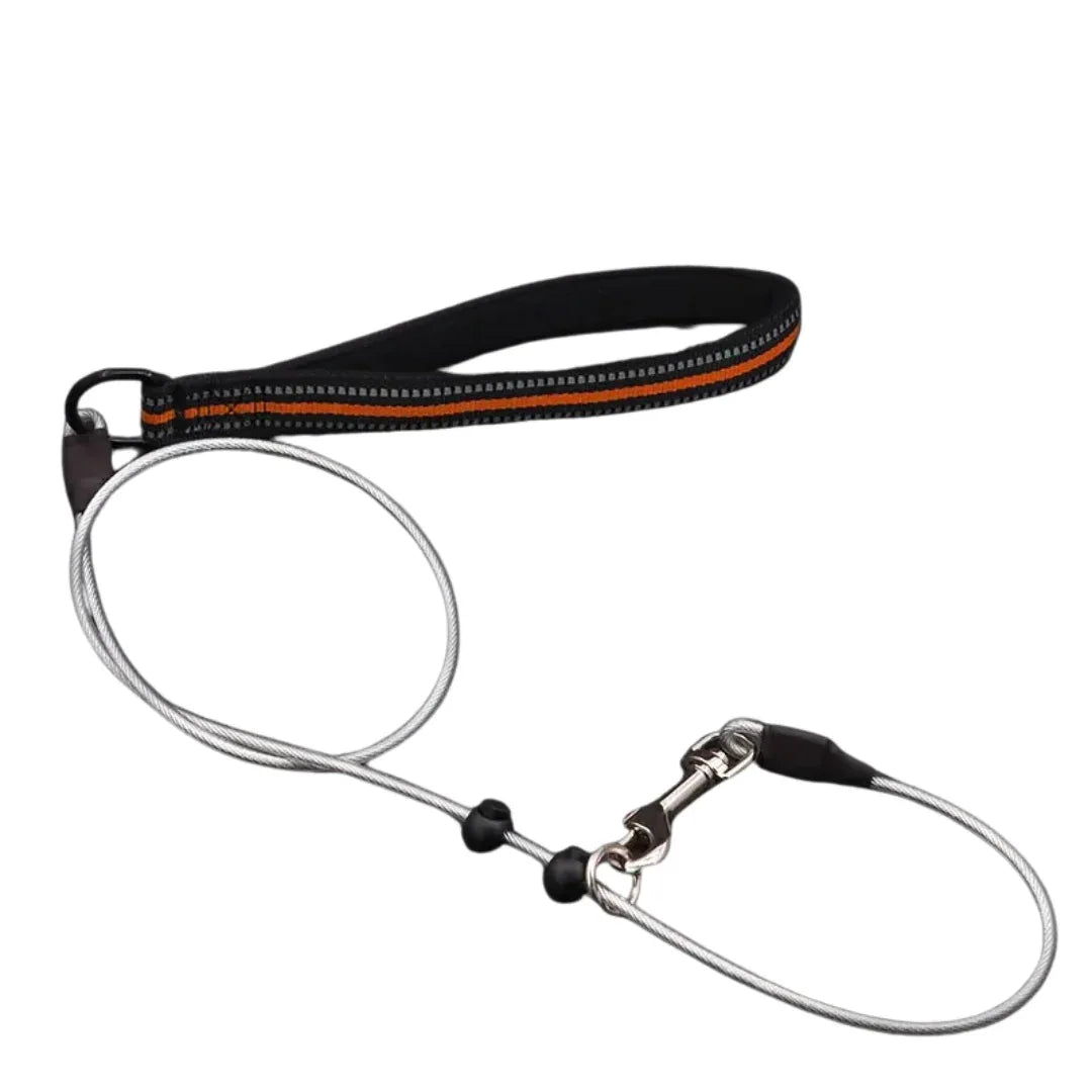 Sterke Staaldraad Hondentraining P-ketting Leiband - Ruffy